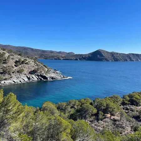 « el Jardin « puig Rom Apartment Roses